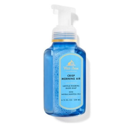 Hand soap "Crisp Morning Air"