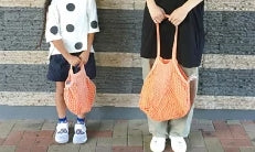 Mini Tote Mesh Bag